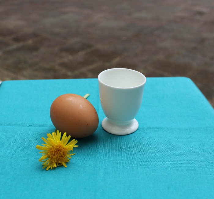 Egg Cup