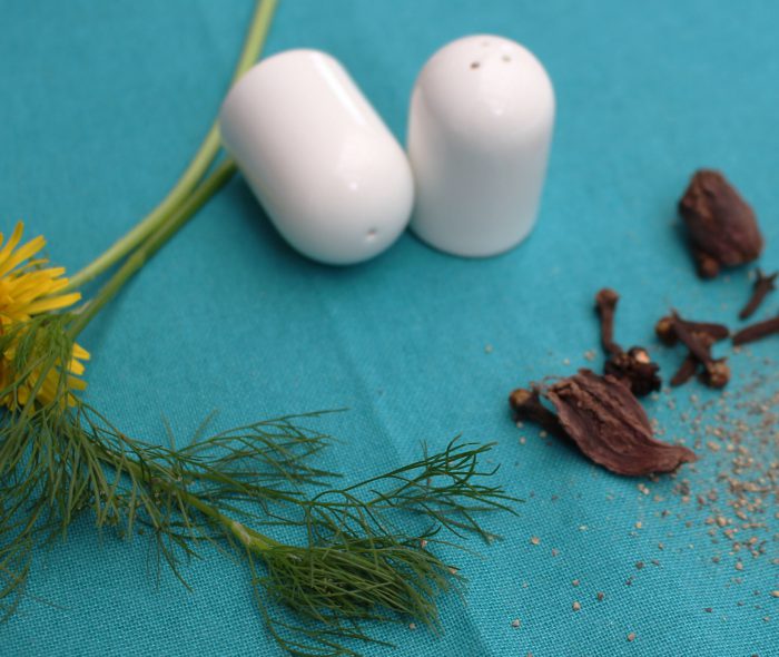 S7 Mini Salt & Pepper Shaker